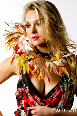 Collier coquetips - long. 28 cm, env. 150 plumes - multicolore